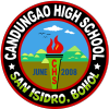 CHS Logo